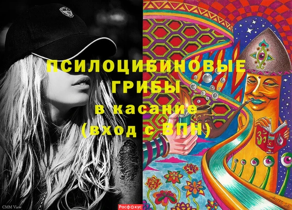 гашик Алексеевка