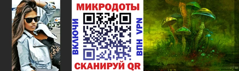 mega ссылка  Биробиджан  Галлюциногенные грибы мицелий  закладка 